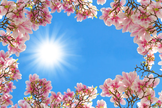 Magnolien Rahmen - Manolia frame