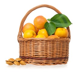 Ripe apricots
