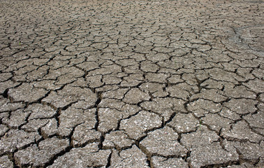 Dry cracked ground filling the frame as background
