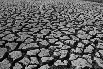 Dry cracked ground filling the frame as background