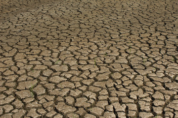 Dry cracked ground filling the frame as background