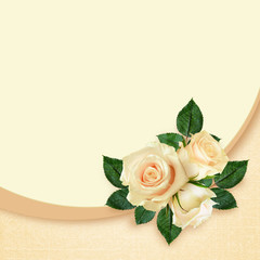 Rose flowers composition