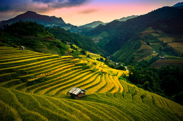 Rice fields on terraced in sunset at Mu Cang Chai, Vietnam