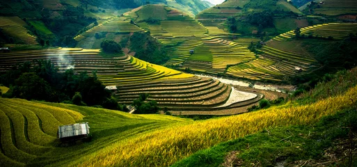 Door stickers Rice fields Rice fields on terraced in sunset at Mu Cang Chai, Vietnam