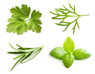Parsley herb, basil leaves, dill, rosemary spice isolated on - obrazy, fototapety, plakaty