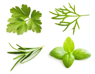 Papier Peint photo Aromatique Parsley herb, basil leaves, dill, rosemary spice isolated on