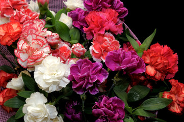 Red carnations