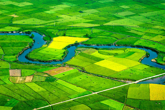 Rice fields on mountain in vietnam