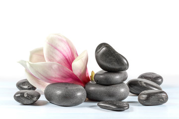 Zen stones with flower magnolia.