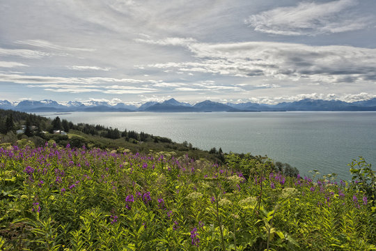 Homer Alaska Volcano View