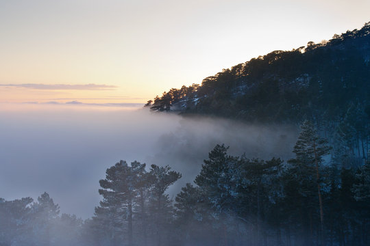 Fototapeta Evening fog