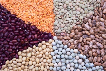 Legumes