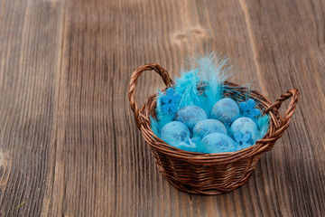 Blue quail eggs