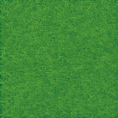 Green grass field. Seamless vector.