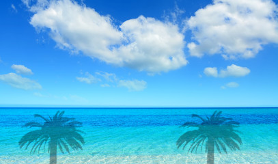 Obraz na płótnie Canvas blue sea and palm shadows