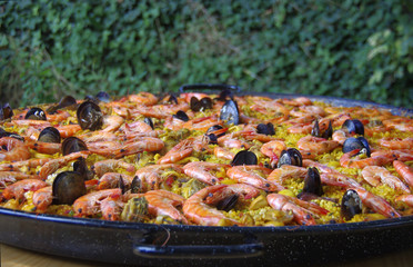 Paella into a dish
