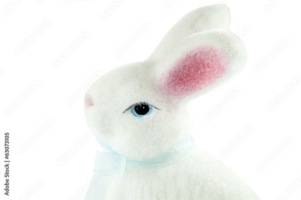 Wall mural white bunny