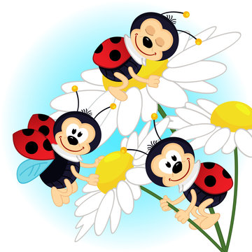 ladybug on camomile - vector illustration
