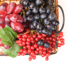 Fresh cranberries and grapes in basket isolated on white backgro