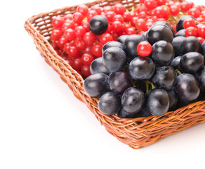 Fresh cranberries and grapes in basket isolated on white backgro