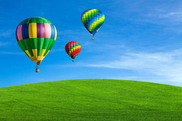 Hot air balloons over green field