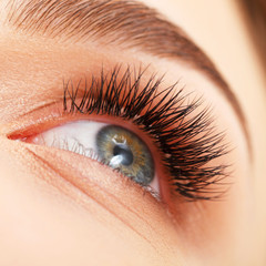 Fototapeta premium Woman eye with long eyelashes. Eyelash extension