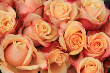 Multicolored wedding roses