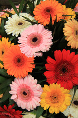 Gerbera bouquet