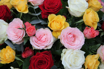 Mixed roses © Studio Porto Sabbia