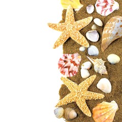 Vertical border of various seashells and sand