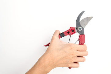 Isolated garden shears