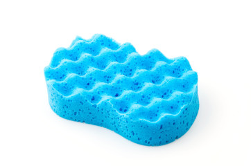 Isolated sponge