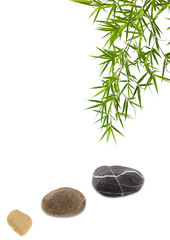 Fototapeta na wymiar décor relaxant zen : bambou et galets