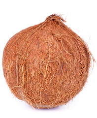 Coconut