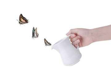 Butterfly flying from teapot spout isolated