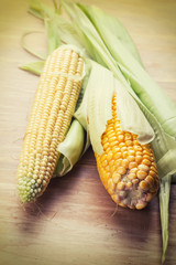 Fresh corn on wooden background