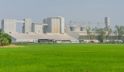 storage tanks in rice mill, factory process production line