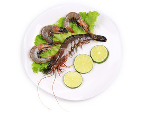 Raw tiger shrimps on plate.