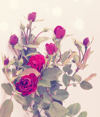 Obraz premium small vintage roses