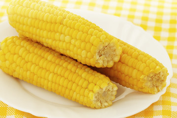 Tasty boiled corn on a plate, autumn dish