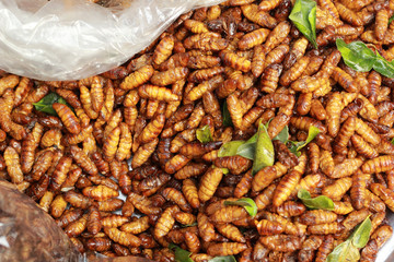 fried silk worms in the market