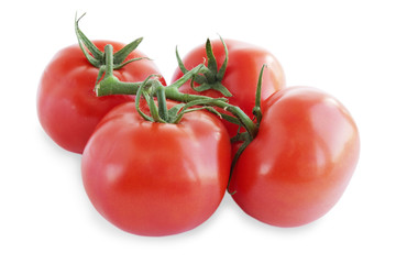 branch tomato
