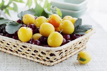 cherry with plum