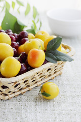 yellow plums in a basket