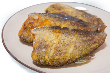 Fried Snakeskin gourami isolate on white