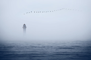 misty sea