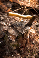 Iron axe stuck in log at forest
