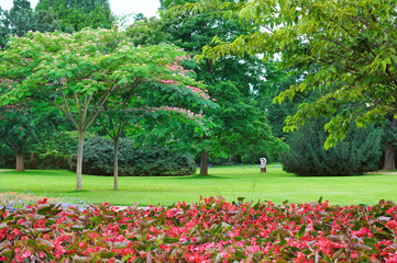 flowerbeds in the park