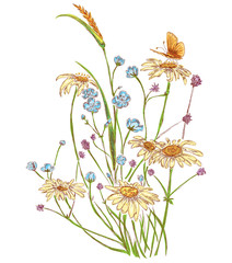 artistic bouquet of field flowers:chamomile,wheat,clover