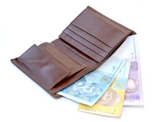 Purse with the Ukrainian money on a white background